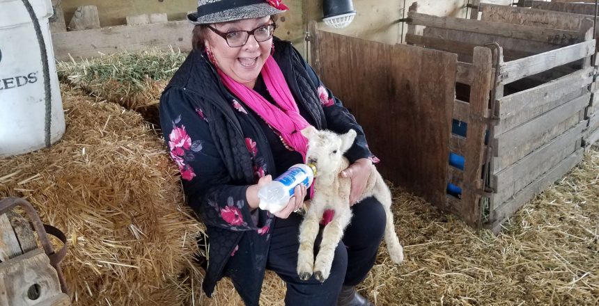 Consider This-Irene Feeding the Lamb
